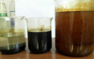 LY-T01焦化污水改質(zhì)劑