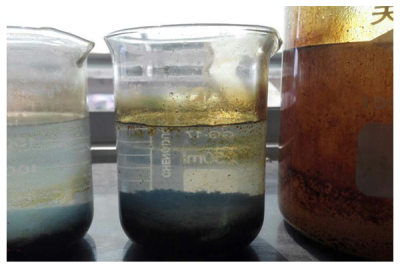 海右、嵐橋焦化污水試驗圖片